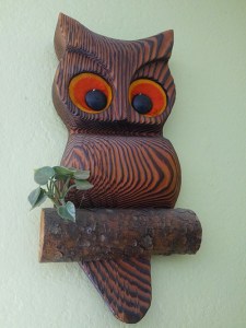 owl