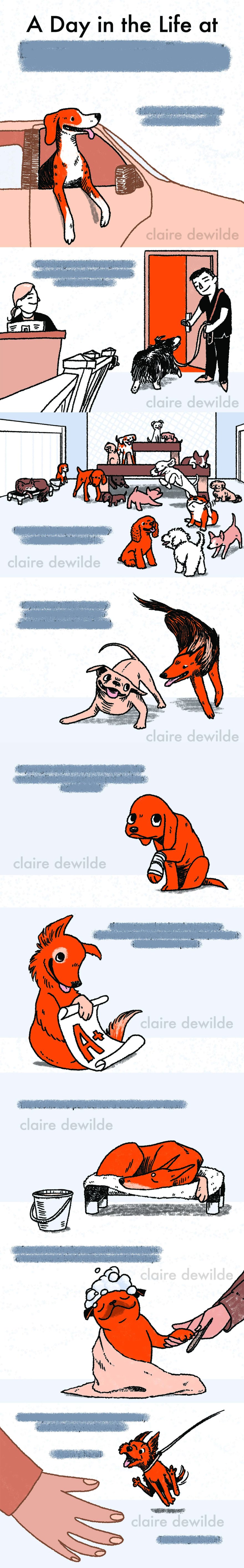 A Day in the Life censored watermark